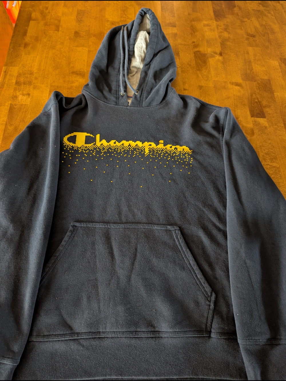 Champion Gray Sweatshirt with Blue and Red Trim